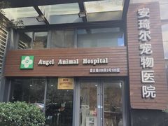 -爱侣·安琦尔宠物医院·中兽医针灸·心内科·狂犬免疫点(宝山区院)
