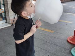 -晓港公园