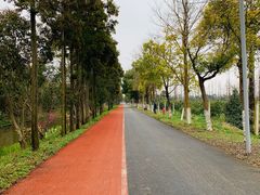 -上海长兴岛郊野公园