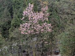 -娄山关景区
