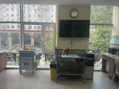 -爱派特动物医院·全科诊疗中心