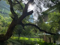-广悦华阳朔河畔度假酒店(十里画廊遇龙河店)