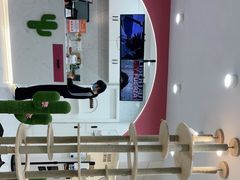 -喵园·猫主题咖啡厅·撸猫·猫咖(国贸店)