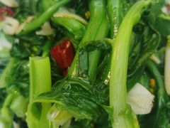 -春涛餐馆(下坝店)