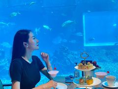 -涛·海底餐厅·美人鱼·自助餐·海底隧道(三亚海棠湾洲际度假酒店)