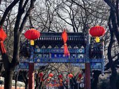 -北京国子监胡同