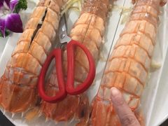 濑尿虾-蚝专家(北滘店)