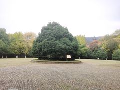 -灵谷景区