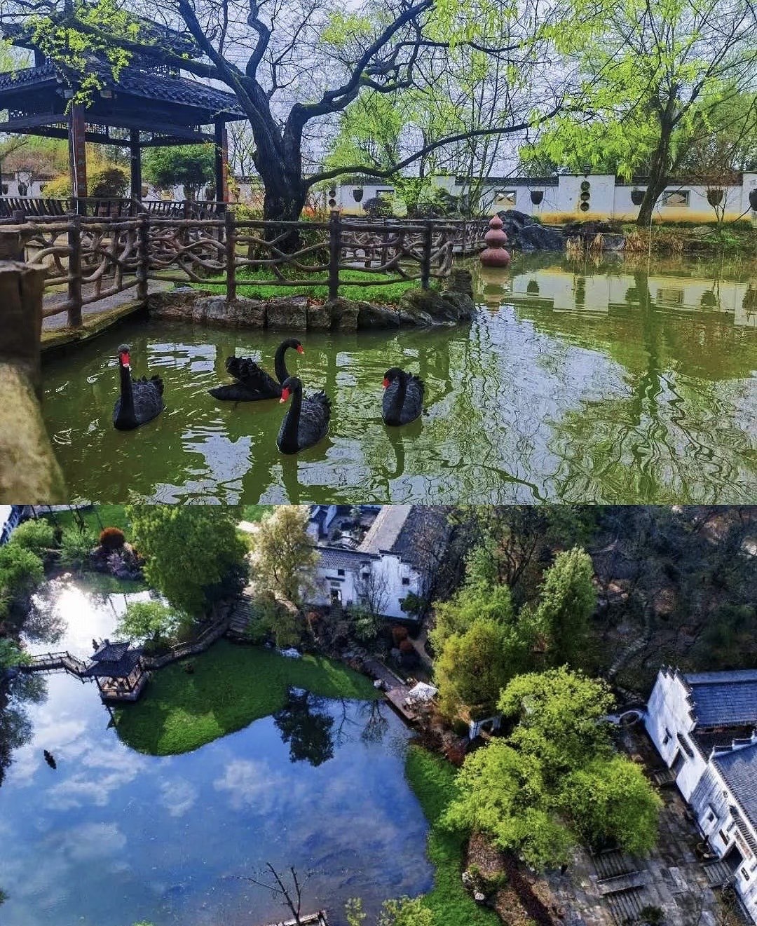 一天认识一个泾县景区之马头祥春天看花别