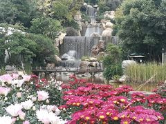 -七彩云南古滇温泉山庄