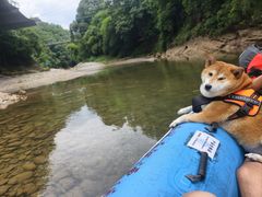 -青城两河漂流