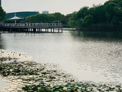 -新江湾城公园