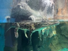 -石家庄海洋公园