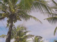 -亚龙湾国际玫瑰谷