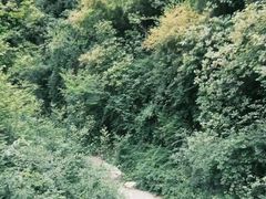 -黄花溪