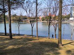 -美兰湖景区