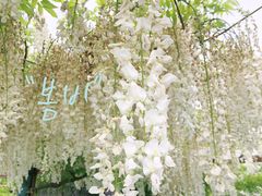 -南通洲际绿博园