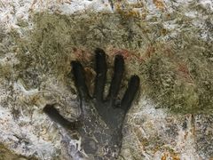 -西岭雪山大飞水景区