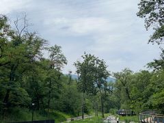 -白水寺森林公园