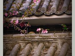 -西安青龙寺遗址景区