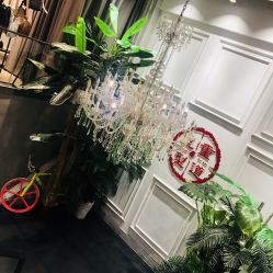 -重道造型