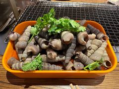 -柿子树炭烤羊腿(金台路店)