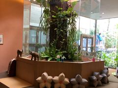 -迪瓦娜按摩和水疗中心