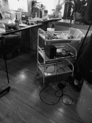 -椿树下·Tattoo纹身工作室