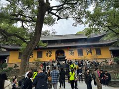 -普陀山风景名胜区-法雨禅寺