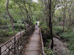 -云岫谷游猎自然风景区