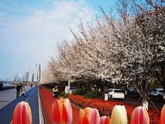 -宝龙城(杭州滨江店)