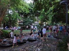 -成都市活水公园