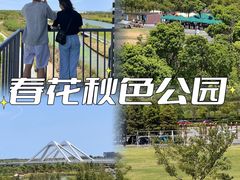 -春花秋色城市公园