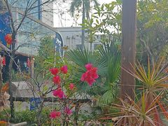 -花溪雨·森林餐厅(石基店)