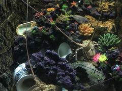 -常州海昌海洋探索馆