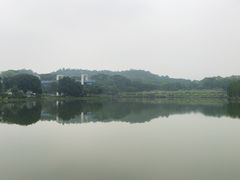 -东莞植物园