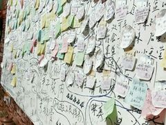 15年照片墙-九华山友谊土菜馆 小资餐厅