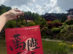 -九华山风景区