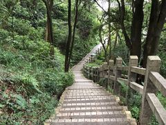 -广州市帽峰山景区