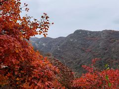 -周口店坡峰岭风景区