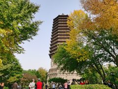 -玲珑塔公园