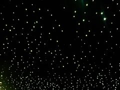 -STARRY CAFE & LOUNGE BAR(高新店)