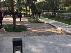 -莲湖公园