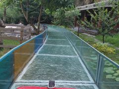 -十渡东湖港风景区