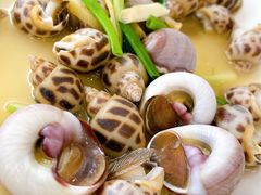 香螺花螺双拼-金海湾海鲜排档(朱家尖店)