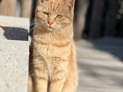 -辛庄国际文化艺术区
