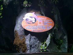 -左海海底世界