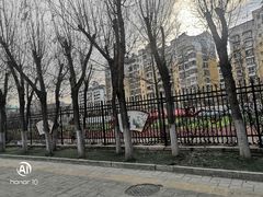 -秦皇岛市西港路小学