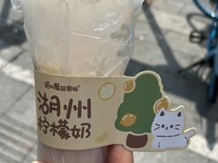-猫的魔法密林(衣裳街店)