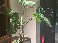 -九月里.自由花园餐厅